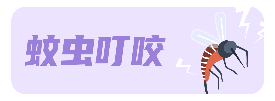 1640825936860843.