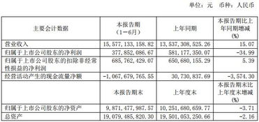 物聯網市場全景掃描 十家上市公司半年報數據深度解析與應用服務趨勢洞察
